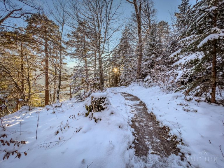 Alpsee Runde Wanderweg Winter mit Schnee