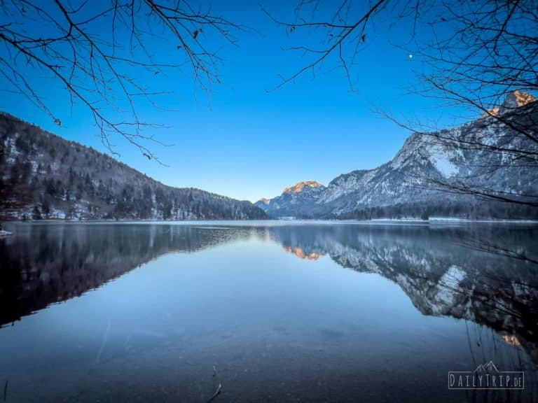 Alpsee Blick über den See