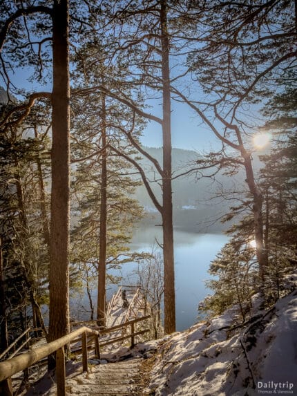 Alpsee Wanderweg Winter