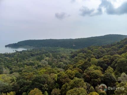 Bako Nationalpark Dschungel Panorama