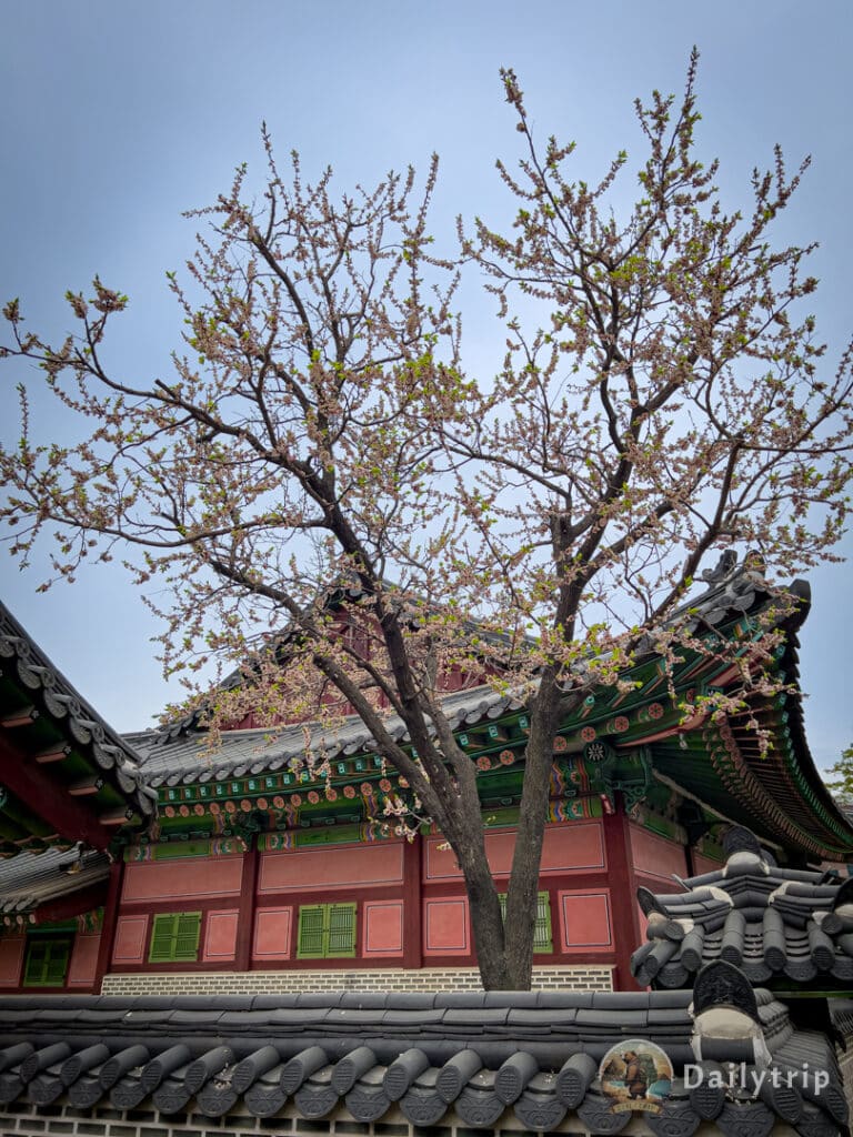 Changdeokgung Palast Nebengebaeude