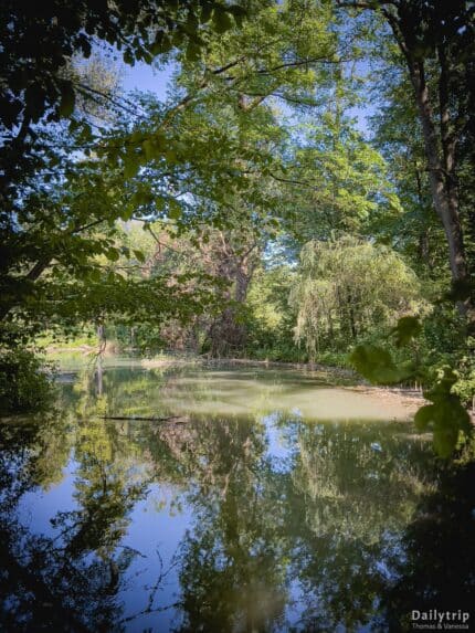 Englischer Garten Nordteil Wald See