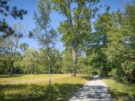 Englischer Garten Nordteil idyllischer Waldweg