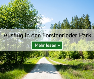 Ausflugsziele München: Ausflug in den Forstenrieder Park in München