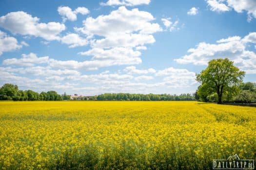 Forstenrieder Park München: Idealer Ort für einen Familienausflug