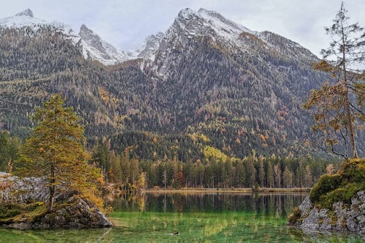 Zauberwald am Hintersee: Ein unvergesslicher Tagesausflug im Berchtesgadener Land