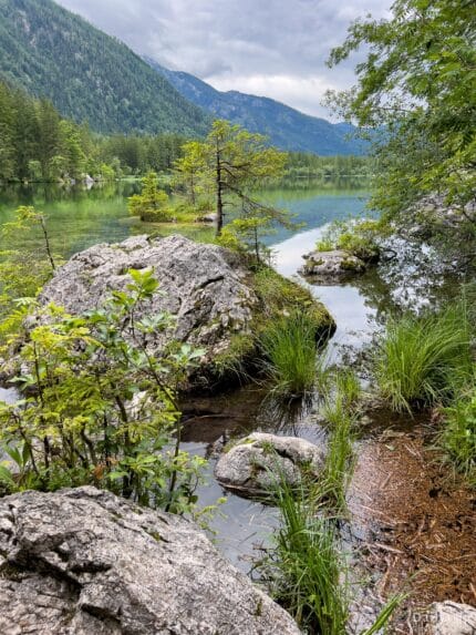 Hintersee Ramsau Felsen am See