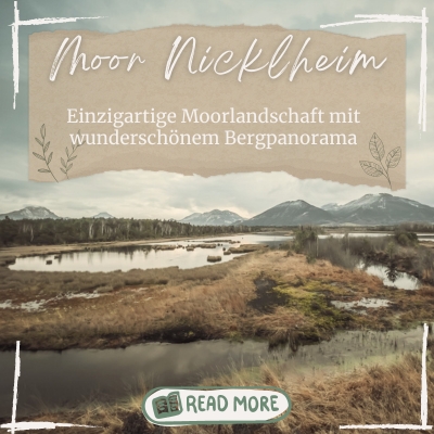 Moor Nicklheim Erlebniswanderung quer 400x400 1