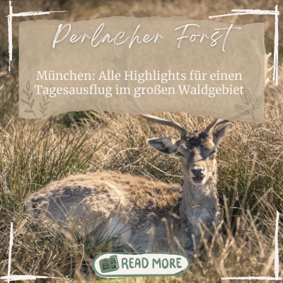 Muenchen Perlacher Forst Highlights quer 400x400 1
