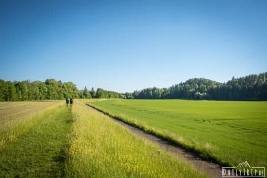 Kloster Schäftlarn: Ausflug am Jakobsweg mit Waldspaziergang