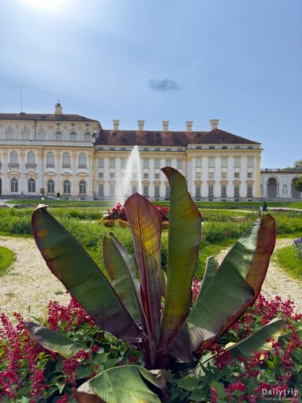 Schloss Schleissheim Pflanze
