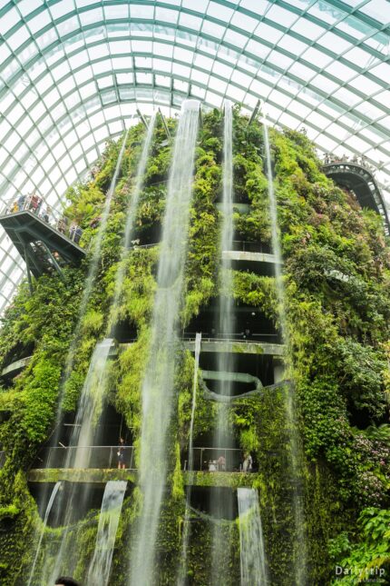 Singapur Cloud Forest Bruecke