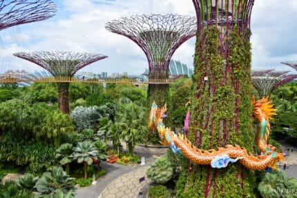 Singapur Gardens by the Bay Supertrees