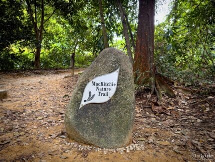 Singapur Mac Ritchie Trail Natur Eingang