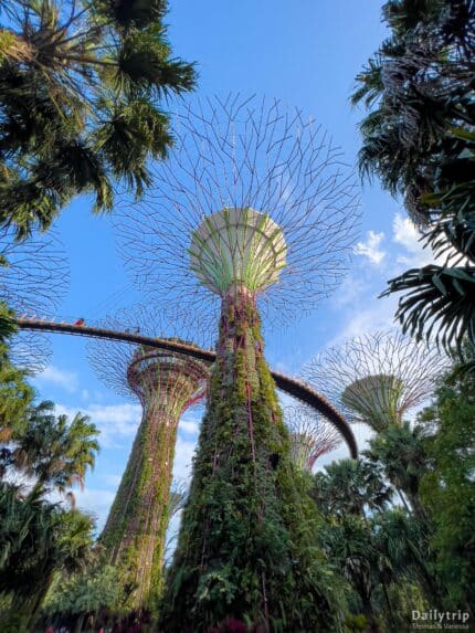 Singapur Supertree OSBC Skywalk Gardens by the Bay