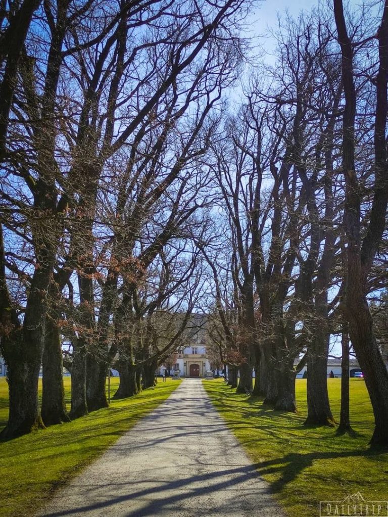 Höhenrieder Schloss Schlossallee mit Bäumen Richtung Schloss