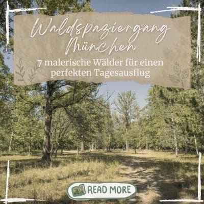 Waldspaziergang Muenchen Wald Ausflug quer 400x400 1